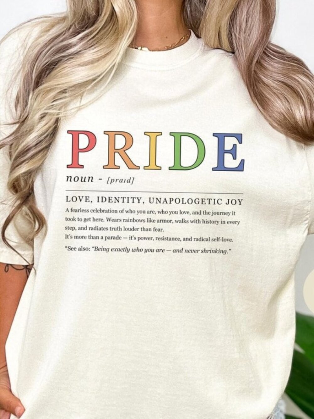 Funny Pride T-shirt, Equality Tee, Rainbow Graphic Shirt Gift